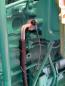 Preview: ELMAG Elektrische Kühlwasservorwärmung - 230 Volt
